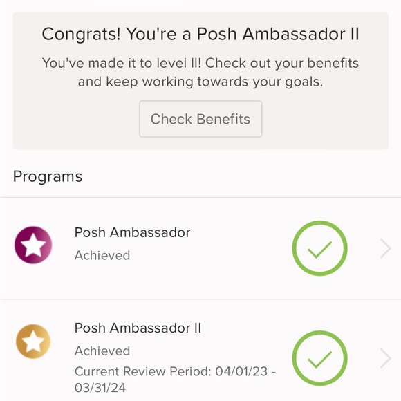 POSH AMBASSADOR II ! - Picture 2 of 8